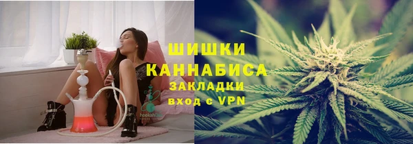 стаф Балахна