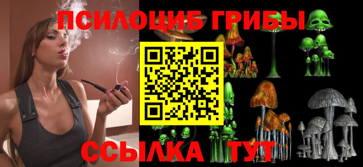 Псилоцибиновые грибы Psilocybine cubensis  Вход с VPN  Долгопрудный 
